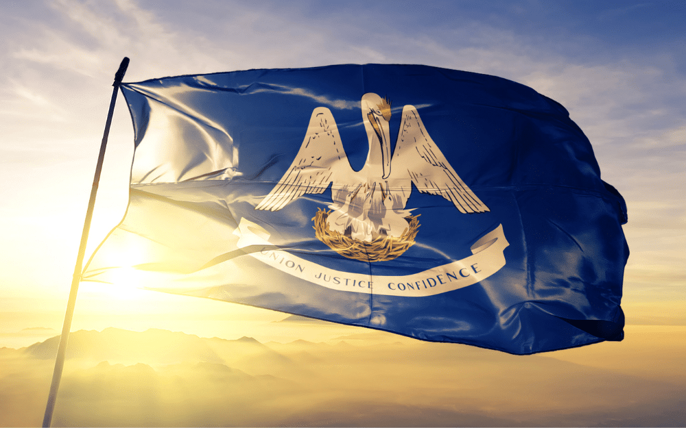 Louisana state flag