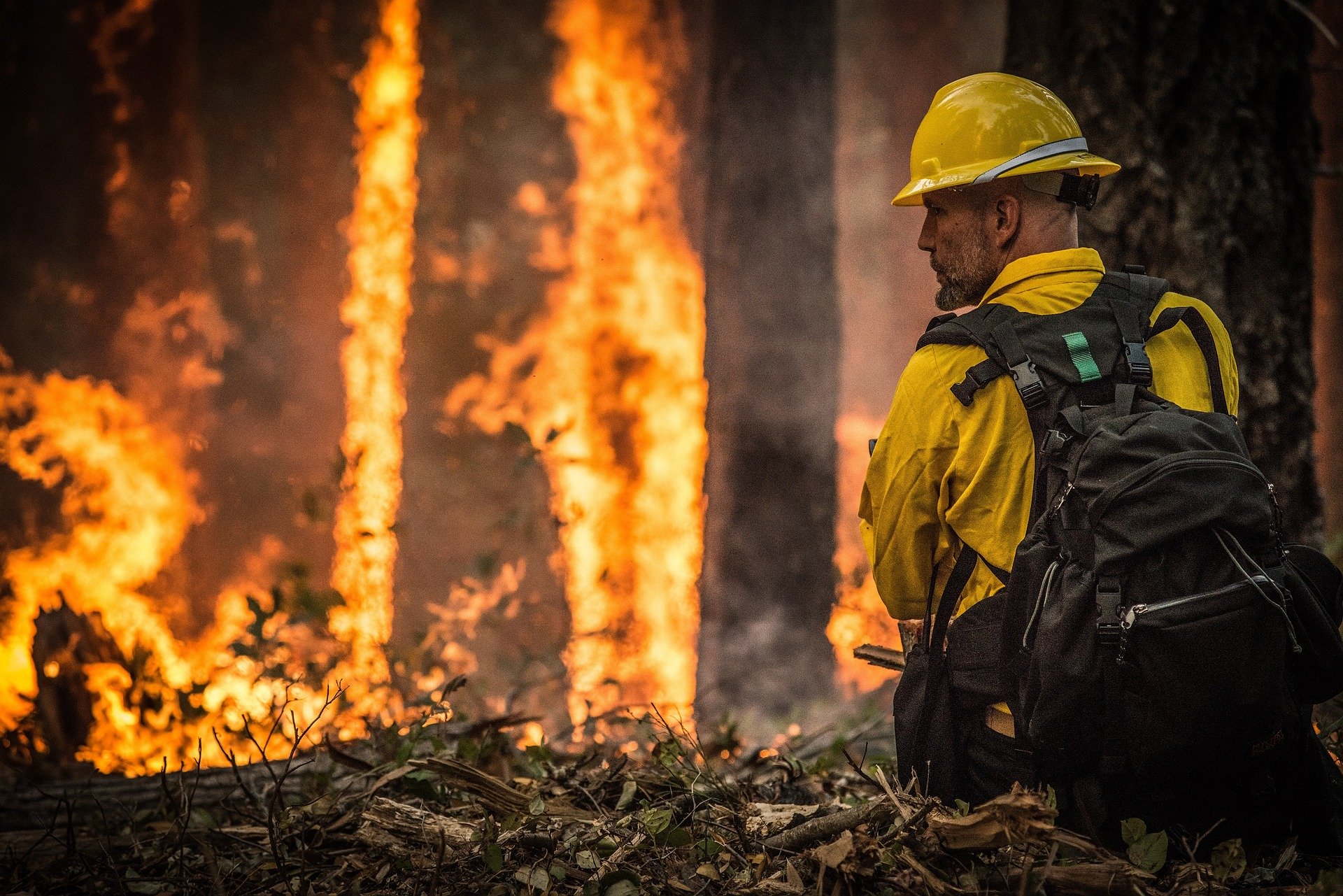 Wildfire and utility experts request government support in wildfire prevention