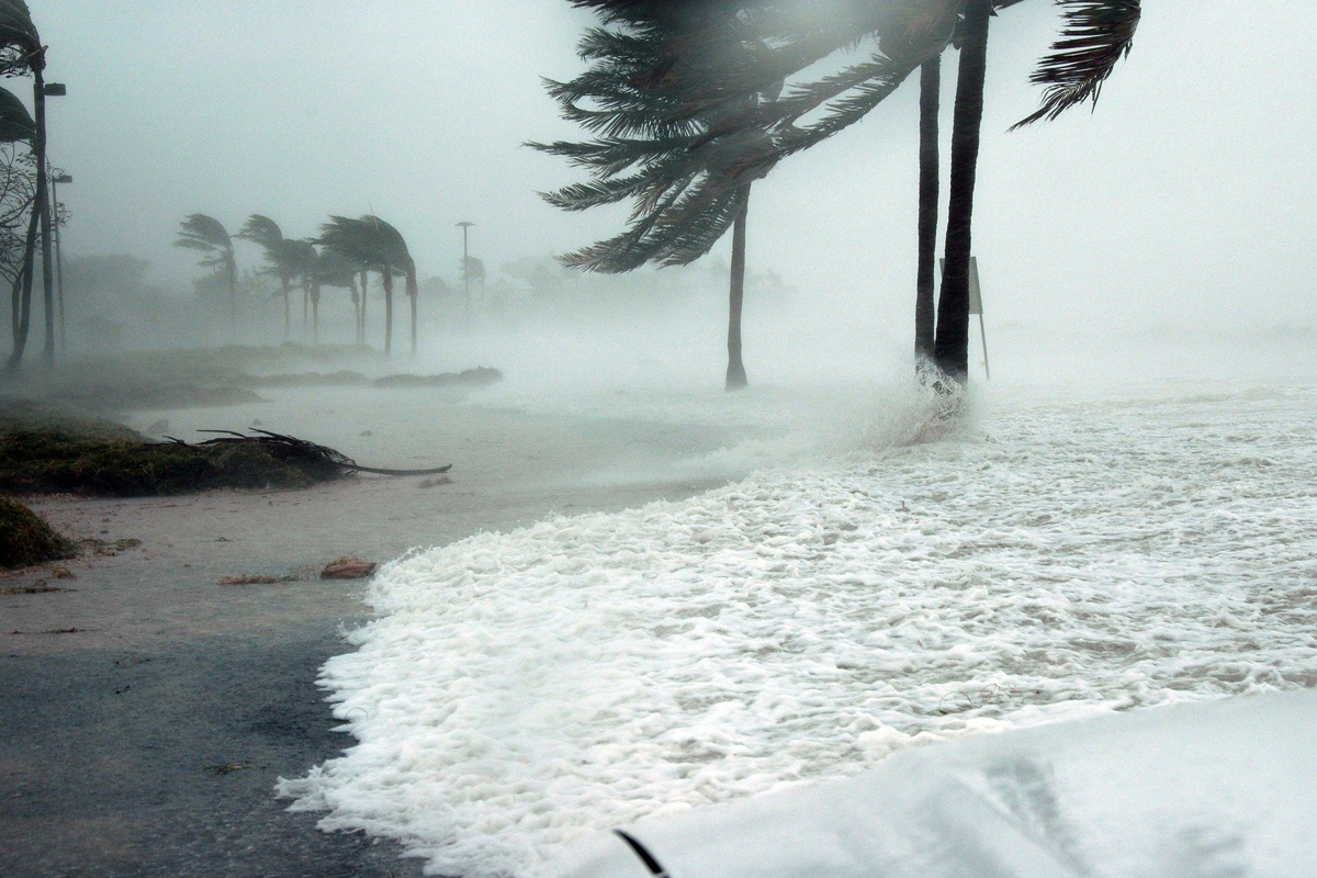 Hurricane Preparedness: Start Planning Now