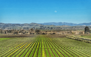 Sonoma, CA