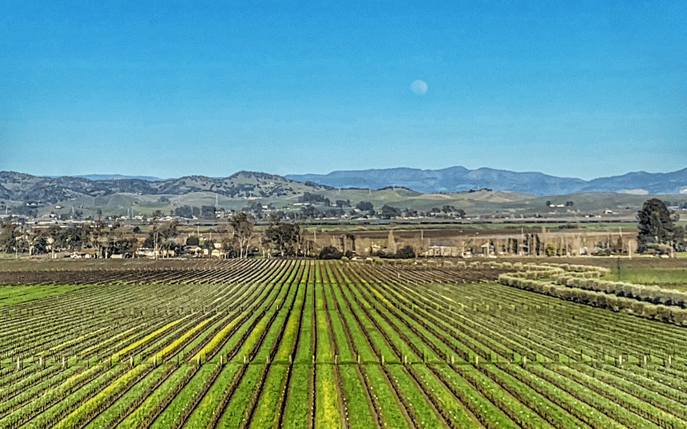 Sonoma, CA
